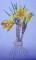 BFC0254 Botanical Bulbs