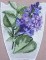 BFC0257 Lace Bowl & Doily Lilacs