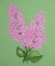 BFC0258 Lilacs