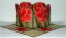 BFC0261 Lace Bowl and Doily Amaryllis