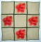 BFC0261 Lace Bowl and Doily Amaryllis
