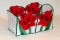 BFC0261 Lace Bowl and Doily Amaryllis