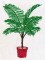 BFC0265 Tropical Palms