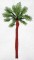 BFC0265 Tropical Palms