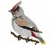 RMG265  Waxwing