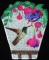 BFC0267 Hummingbird Bowl