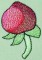 BFC0270 Lace Bowl and Doily Berries