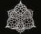 RMG237 Radiolarians Set 1