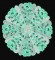 BFC0274 Lace Bowl Floral Elegance