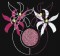 BFC0276 Fred's Flowers