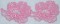 BFC0277 Lace - Floral Elegance