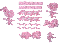 BFC0277 Lace - Floral Elegance