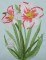 BFC0281 Daylily Garden