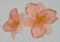 BFC0281 Daylily Garden