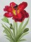 BFC0281 Daylily Garden