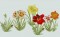 BFC0281 Daylily Garden