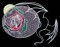 BFC0282 Fantasy