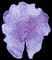 BFC0289 Lace Sculpture - Iris