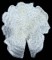 BFC0289 Lace Sculpture - Iris