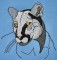 BFC0290 Western Wildlife Meditations