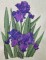 BFC0294 Watercolor Iris