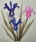 BFC0294 Watercolor Iris