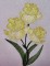 BFC0294 Watercolor Iris