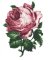 RMG2958EL  Extra Large Peony 2958