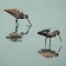 BFC0299 Waterfowl
