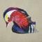 BFC0299 Waterfowl