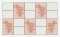 BFC0275 Tablecloths - Floral Elegance