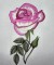 BFC0300 Watercolor Roses