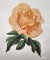 BFC0300 Watercolor Roses