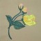 BFC0300 Watercolor Roses