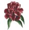RMG3006  Flower 3006