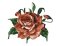 RMG3010  Rose 3010