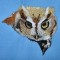 BFC0302 Woodland Creatures