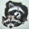 BFC0302 Woodland Creatures