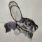 BFC0302 Woodland Creatures