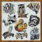 BFC0302 Woodland Creatures