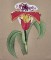 BFC0303 Watercolor Orchids
