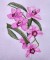 BFC0303 Watercolor Orchids