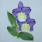 BFC0303 Watercolor Orchids
