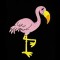 Fannie Flamingo