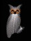 String Art Owl & Owlet