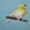 BFC0307 Small Birds
