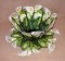 BFC0308  Lace Bowl & Doily  Calla Lily