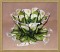 BFC0308  Lace Bowl & Doily  Calla Lily