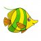 Angie Angel Fish