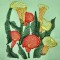 BFC0309 Calla Lilies